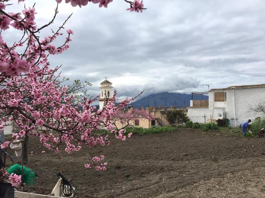 La Casa Rural De Paco Y Ana Pitres Esterno foto