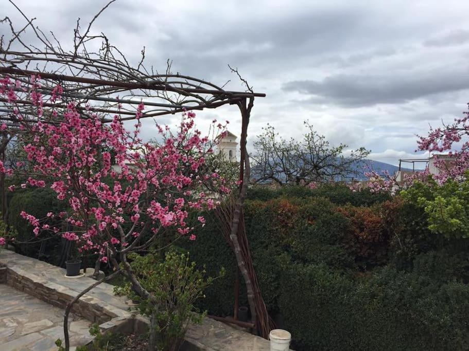 La Casa Rural De Paco Y Ana Pitres Esterno foto